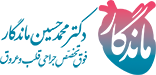 پروفسور دکتر ماندگار