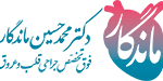 پروفسور دکتر ماندگار